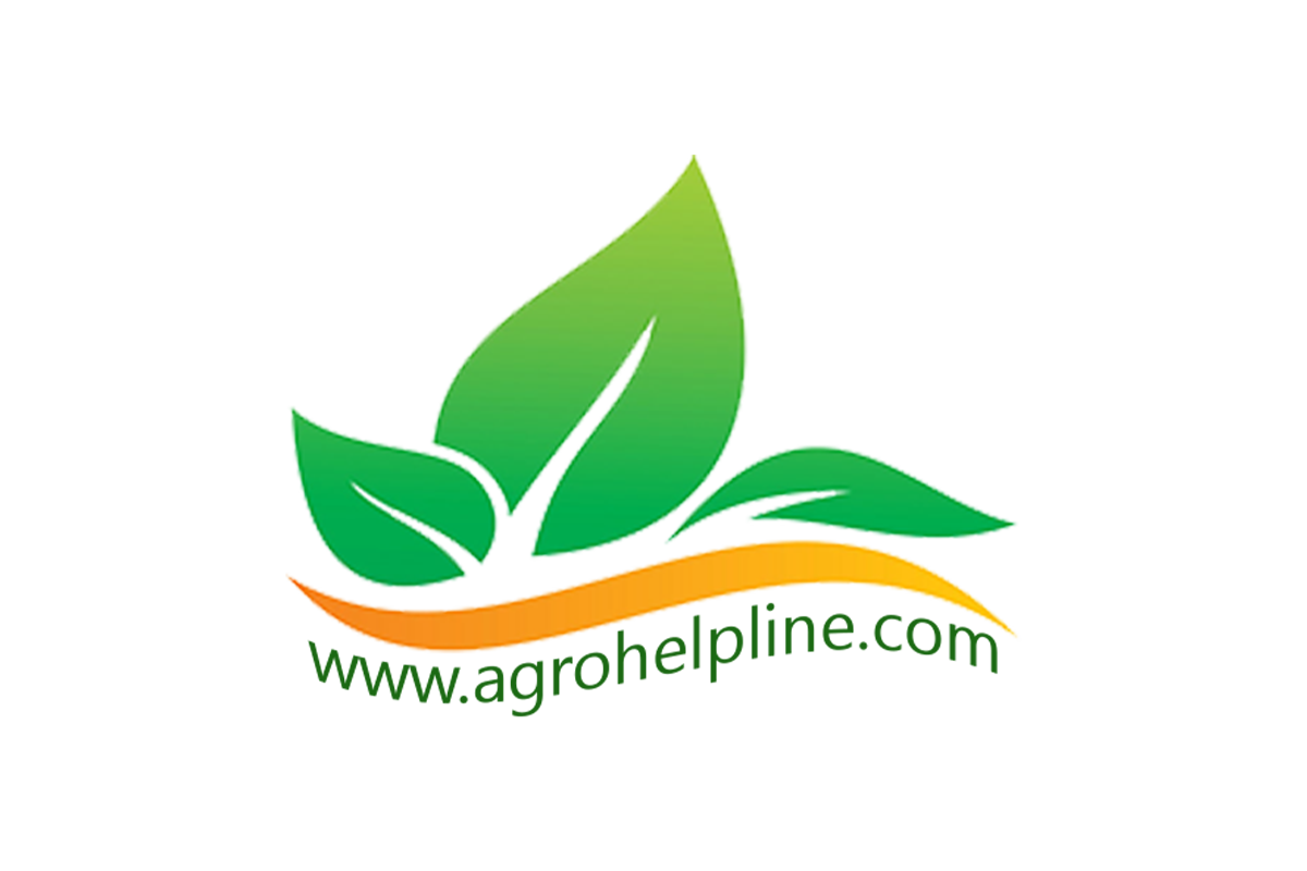 our clients